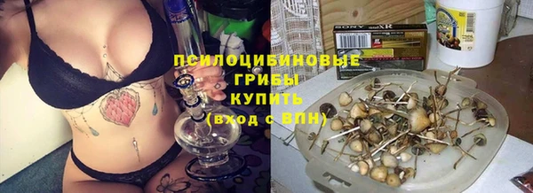 ECSTASY Абдулино
