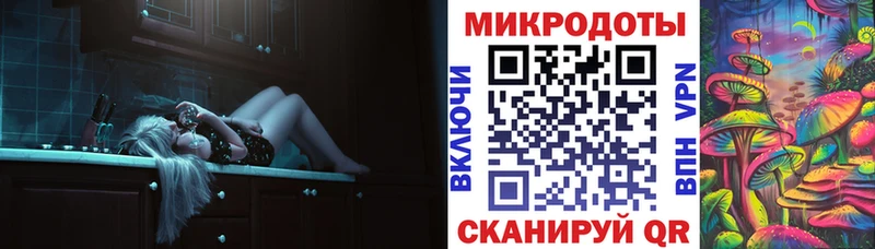 Галлюциногенные грибы Psilocybe  Каменка 