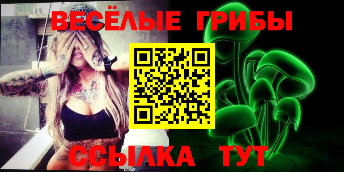 Псилоцибиновые грибы ЛСД Каменка