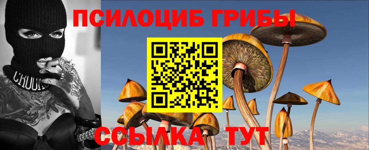 Каменка  Псилоцибиновые грибы ЛСД  Вход с VPN 