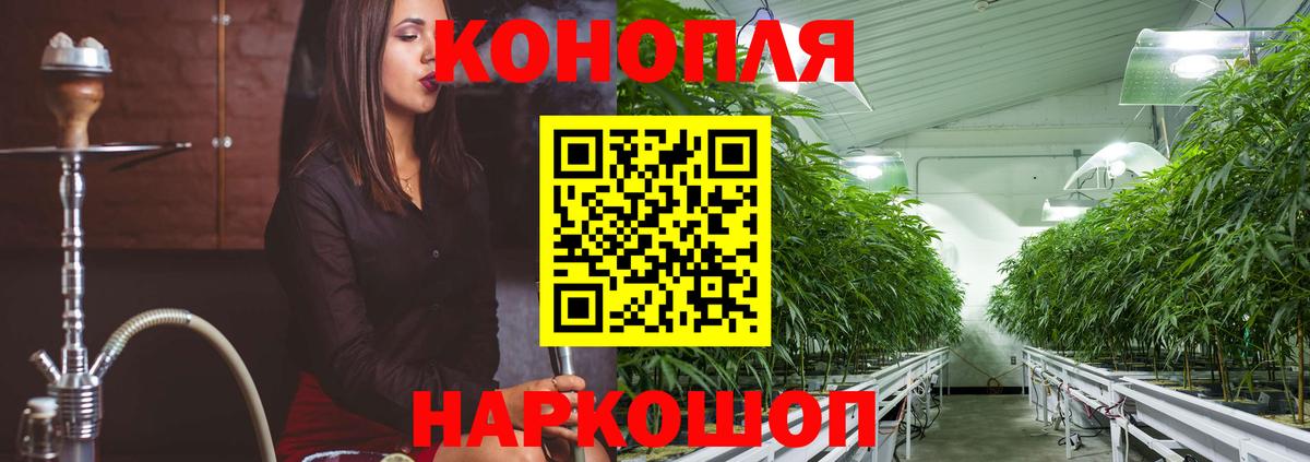 Каменка  Шишки марихуана план  Бошки марихуана SATIVA & INDICA  Вход с VPN  Канабис White Widow  Каннабис семена 